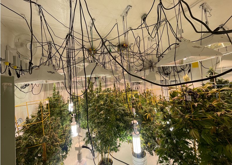 Two search warrants executed by the Wood County Sheriff’s Dept. led to indoor marijuana growing operations in areas east and west of Lake Fork last week, along with the arrest of eight persons.